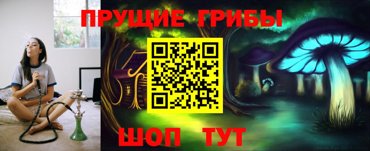 Галлюциногенные грибы Psilocybe  Вход с VPN  Галлюциногенные грибы Cubensis  Нальчик 